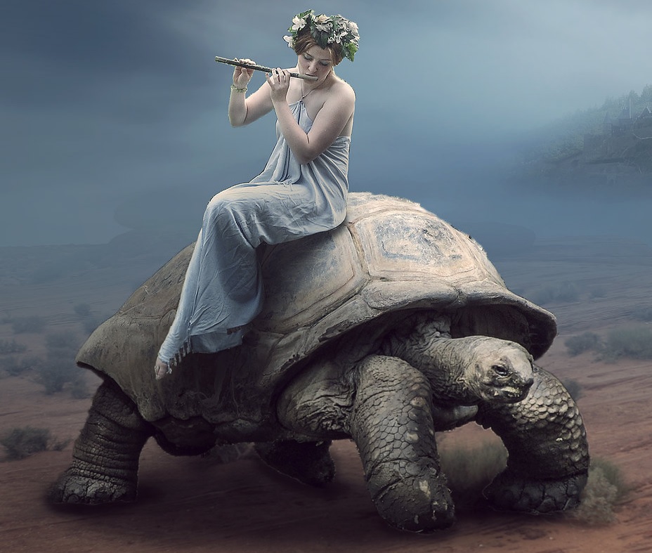 Mordenkainen's Tortoise - The Authentic D&D Wiki