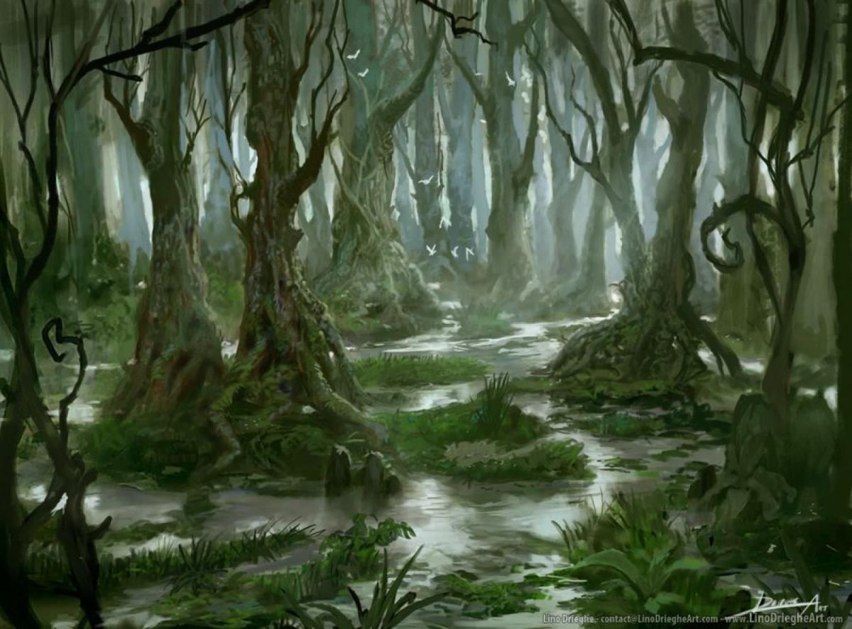 Wetland (range) - The Authentic D&D Wiki