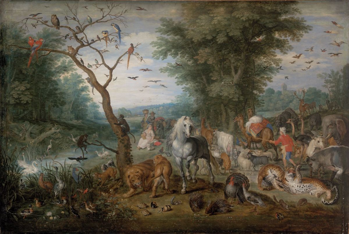 Animal - The Authentic D&D Wiki