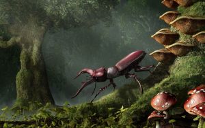 Beetle (stag).jpg
