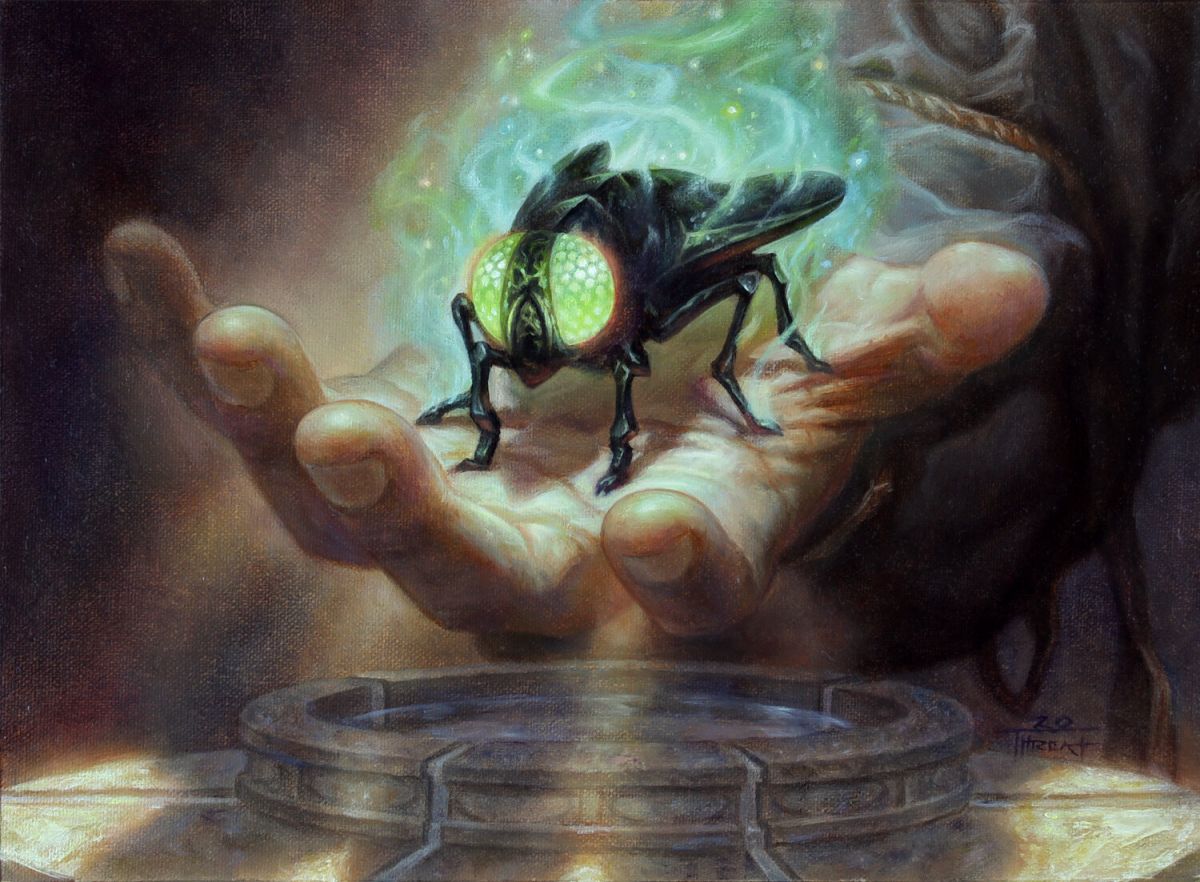 Giant Insect (spell) - The Authentic D&D Wiki