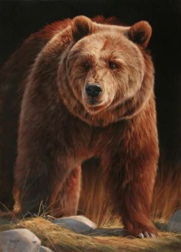 Bear (brown)