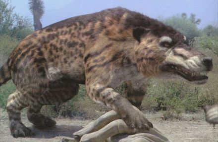 Hyenadon