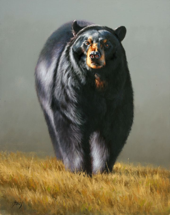 Black Bear - The Authentic D&D Wiki