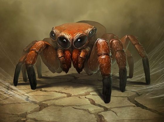 Spider (cantrip) b.jpg
