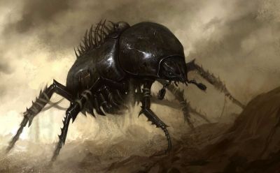 Bombadier Beetle (giant) - The Authentic D&D Wiki