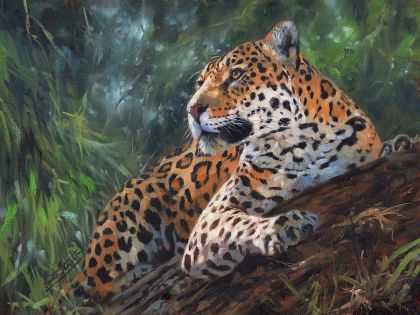 Jaguar - The Authentic D&D Wiki